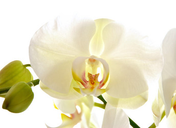 Similar image 2854425