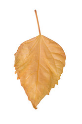 Similar image 2854471