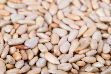 Similar image 2854472