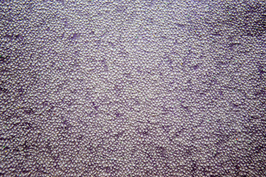 Similar image 2854552