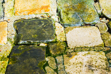 Similar image 2854601