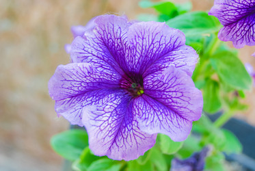 Similar image 2854603