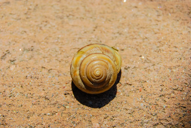 Similar image 2854605