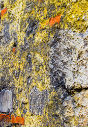 Similar image 2854608