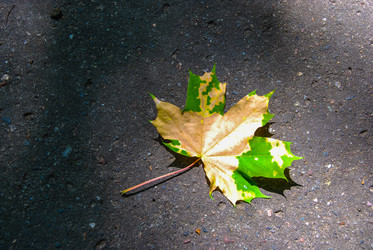 Similar image 2854616