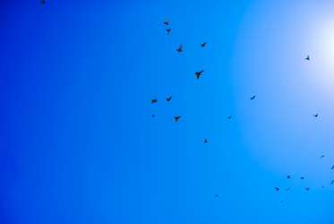 Similar image 2854621