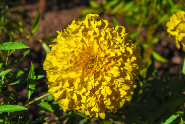 Similar image 2854623