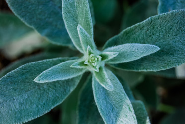 Similar image 2854628