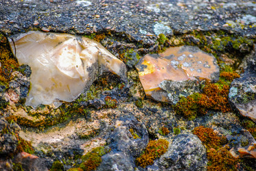 Similar image 2854637