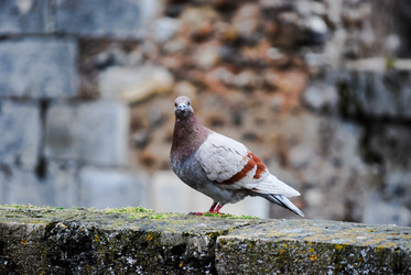 Similar image 2854639