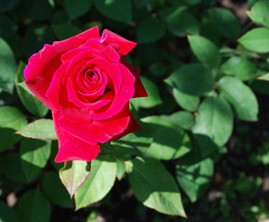 Similar image 2854640