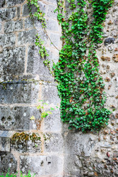 Similar image 2854648