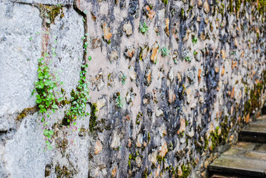 Similar image 2854656