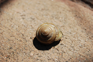 Similar image 2854661