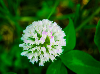 Similar image 2854663