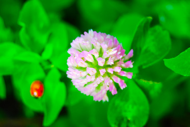 Similar image 2854664