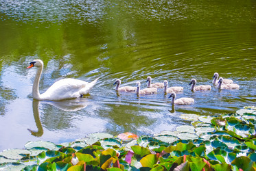 Similar image 2854679