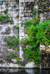 Similar image 2854683