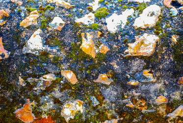 Similar image 2854686