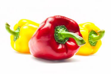 Similar image 2854689