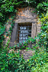 Similar image 2854717