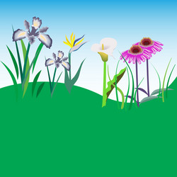 Similar image 2854828