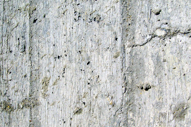 Similar image 2854935