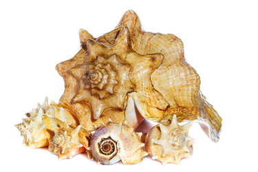 Similar image 2855042