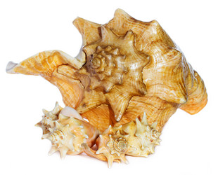 Similar image 2855047