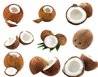 Similar image 2855049