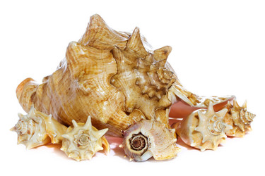 Similar image 2855050