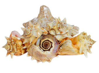 Similar image 2855051