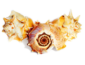 Similar image 2855053