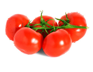 Similar image 2855059