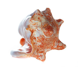 Similar image 2855065