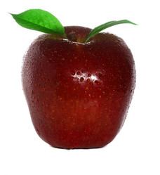 Similar image 2855069