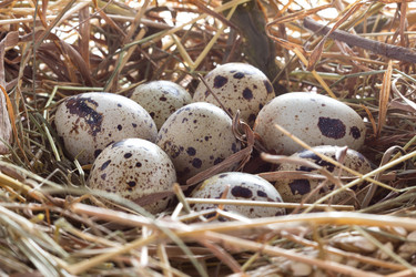 Similar image 2855219