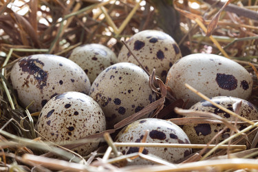 Similar image 2855220