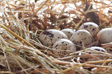 Similar image 2855221