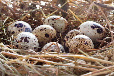 Similar image 2855225