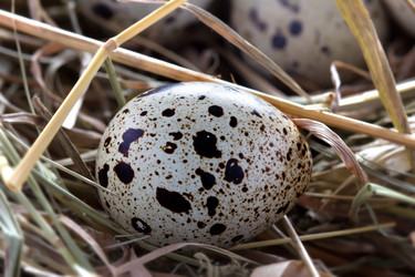 Similar image 2855226