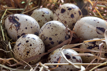 Similar image 2855229