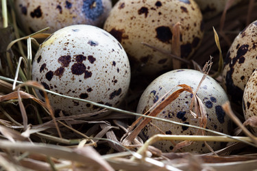 Similar image 2855248