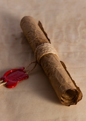 Similar image 2855254