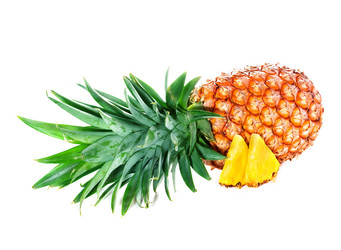 Similar image 2855259