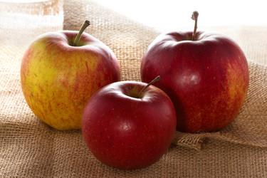 Similar image 2855261