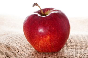 Similar image 2855263