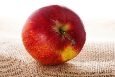 Similar image 2855264