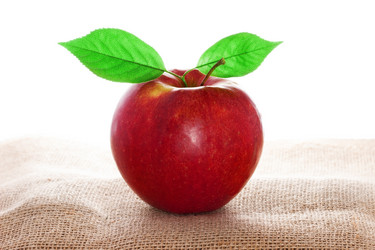 Similar image 2855265