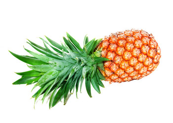 Similar image 2855266